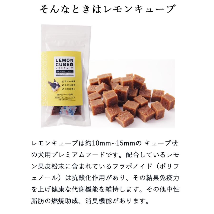 ドッグフード 犬用おやつ 国産 無添加 レモンキューブ おためしセット 100g X 2袋 犬 体臭 口臭 ダイエット 犬用 サプリメント Huw0009s2 ドリームリアライズ 通販 Yahoo ショッピング