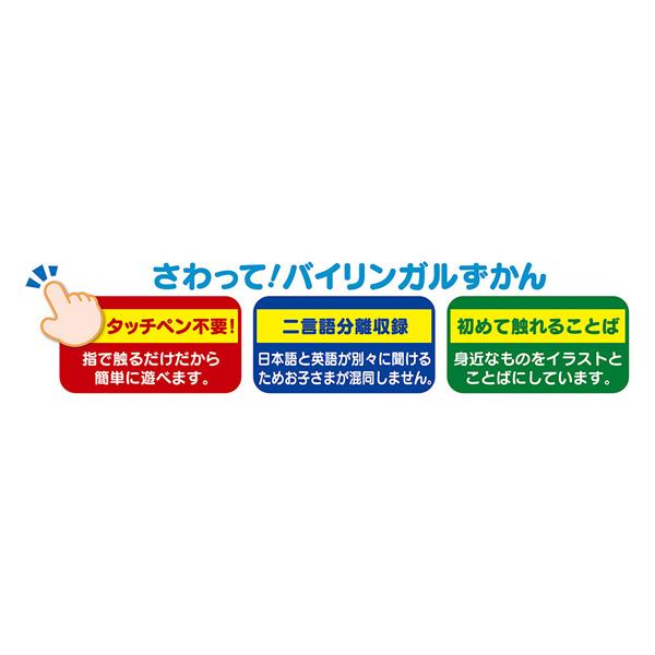 日本語 英語 さわってバイリンガルずかん 単語 学習 勉強 幼児 男の子