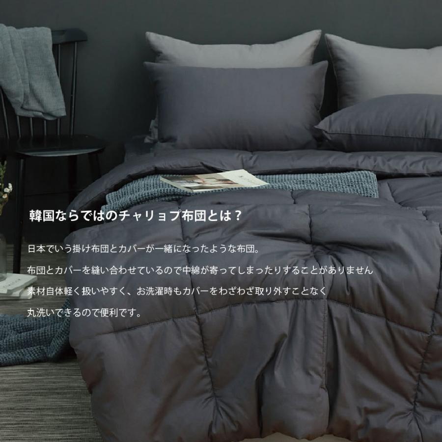 イブル 掛け布団 180×220 ダブル SIGNATUREシリーズ 韓国 生地 布団