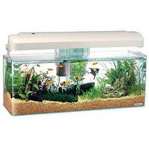 コトブキ工芸 コトブキ ダックスC60クリア 5点セット : アクアリウム