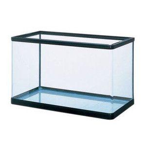 GEX（ジェックス） ラピレスRV60 ガラスフタ1枚付き : アクアリウム