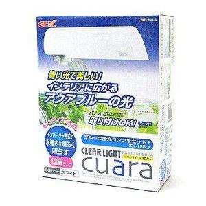 GEX（ジェックス） クリアライト キュアラ ホワイト : アクアリウム