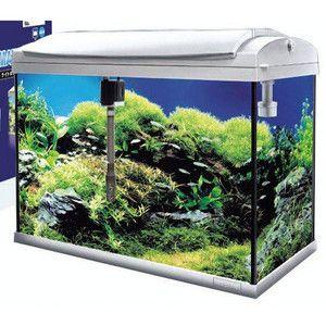 ニッソー アクアメイト60UF シルバー : アクアリウム ドリームシアター