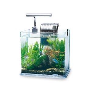 Tetra（テトラ） ラウンド グラスアクアリウム LEDライト付観賞魚飼育