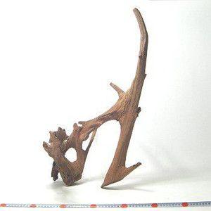 ローズウッド 高級流木 : アクアリウム ドリームシアター - 通販