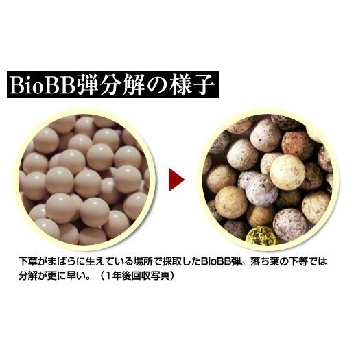 MARUZEN（マルゼン） バイオ精密 BB弾 0.25g OD 3000発 : ネット