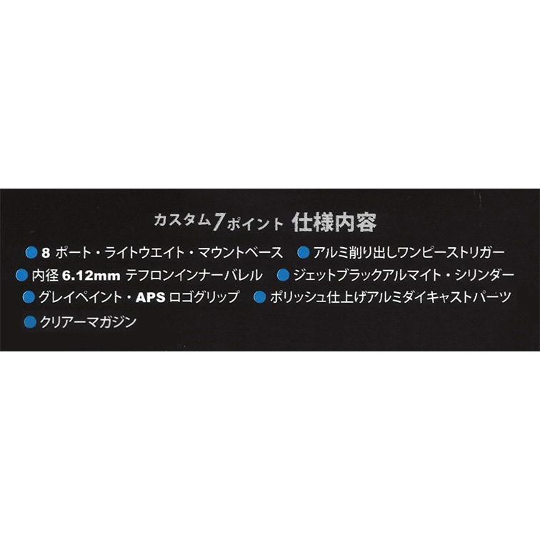 MARUZEN（マルゼン） 完全限定品 精密射撃エアガン APS-3 Limited