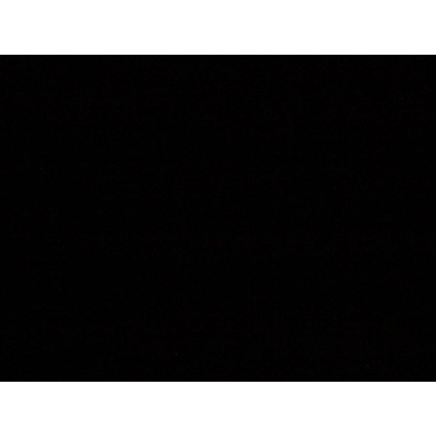 イルミネーション イルカ ドルフィン モチーフ ライト ホワイト 屋外