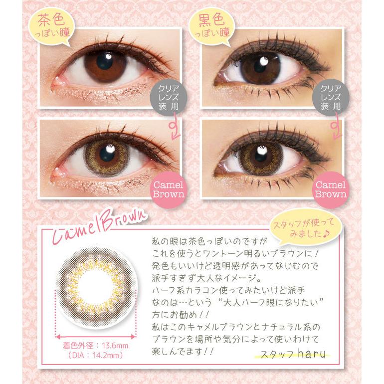 ルースシフォンゼル2ウィークUVモイスト 6枚入 1箱 カラコン 2週間交換 2week RuthChiffon ZERU | SHOーBI | 03