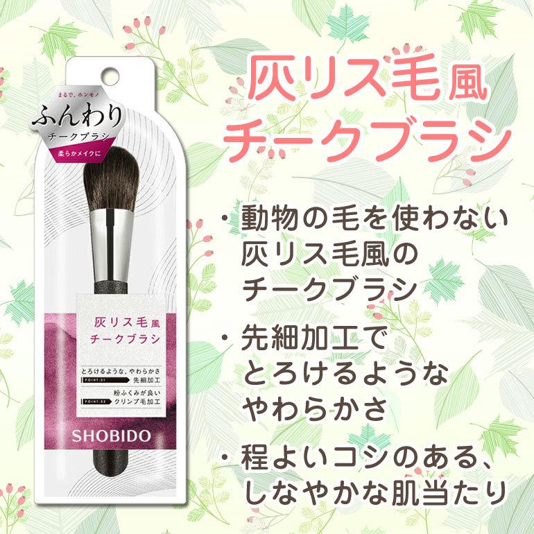 灰リス毛風チークブラシ 粧美堂株式会社 Spv チーク ツヤ肌 メイクブラシ 先細ブラシ 持ち運び コスメ ドリームコンタクトpaypayモール店 通販 Paypayモール