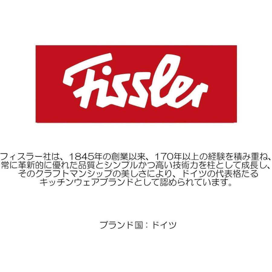 正規品 フィスラー Fissler フライパン プロコレクション 旧タイプ 28cm ガス火 Ih対応 ステンレス ドイツ製 84 368 Dreamdragon 通販 Yahoo ショッピング 日本製 Ccifa France Com