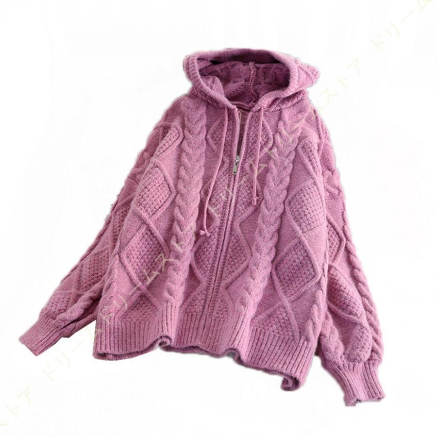 直販卸売 フード付き カーディガン レディース ニットカーディガン ゆったり セーター レディース ニットコー 日本売品 Ssl Daikyogo Or Jp