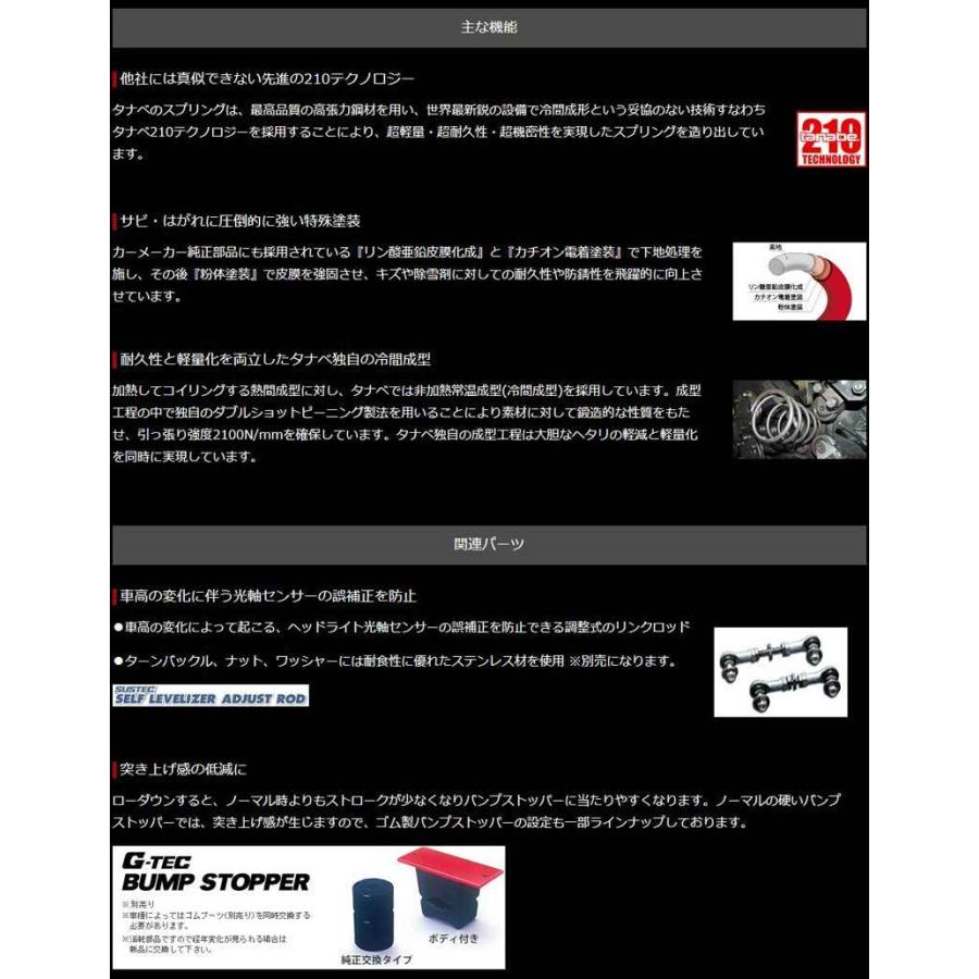 クラウン ダウンサス GRS180 H15/12-H20/2 サステックDF210 TANABE(タナベ) GRS182DK_2