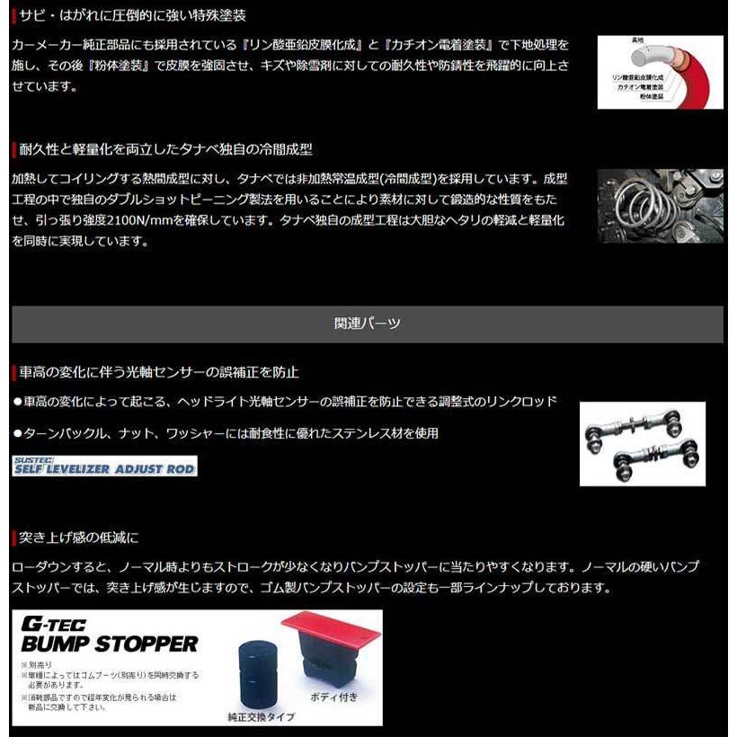 TANABE - タフト ダウンサス 天使の都市900S R2/6- サステックNF210 (タナベ) 天使の都市650SNK