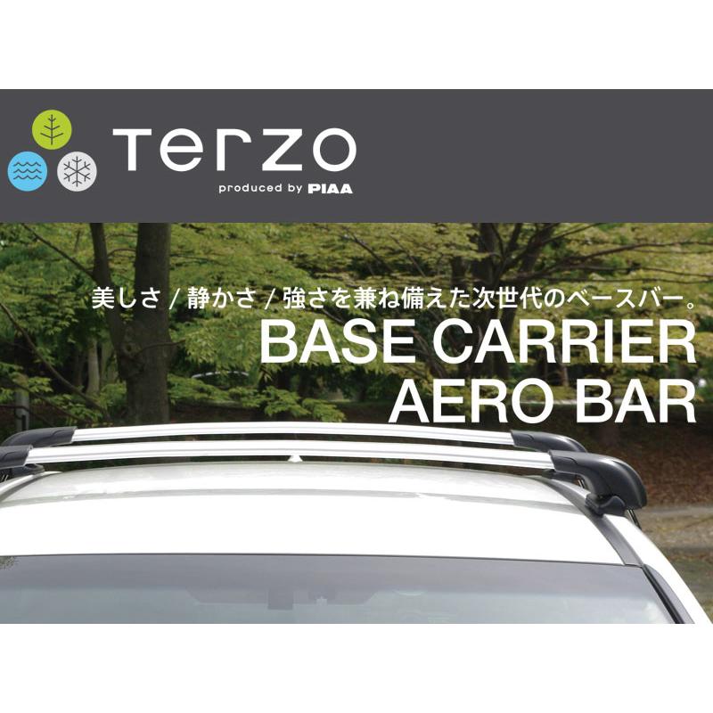 エクストレイル ルーフキャリア T32 HNT32 HT32 H29.6- エアロバー シルバータイプ TERZO(テルッツォ) EF103A+EB84A+EB84A｜dreamers-shop