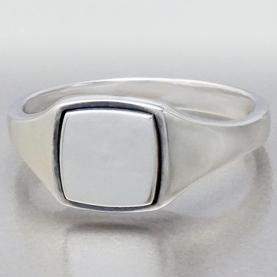 AQUA SILVER（アクアシルバー） メーカー取り寄せ品 Aqua Silver ASR