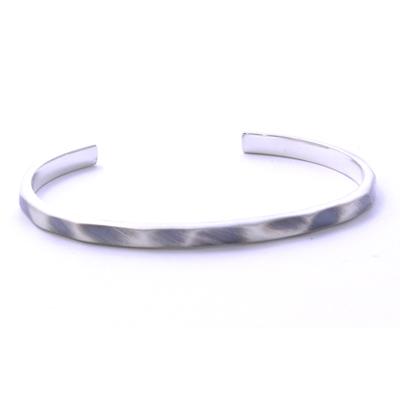 AQUA SILVER（アクアシルバー） メーカー取り寄せ品 Aqua Silver BG