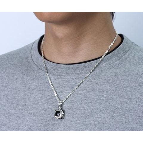 AQUA SILVER メーカー取り寄せ品 アクアフォルティス FORTIS 上 AQUA SILVER メーカー取り寄せ品 アクアフォルティス FORTIS 上