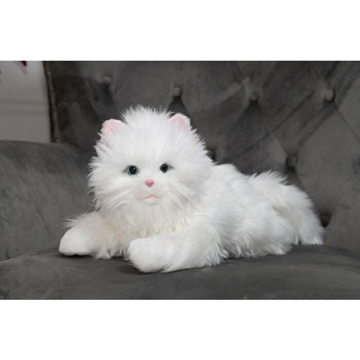 しっぽふりふり あまえんぼう 子ねこちゃん トキワカメラ