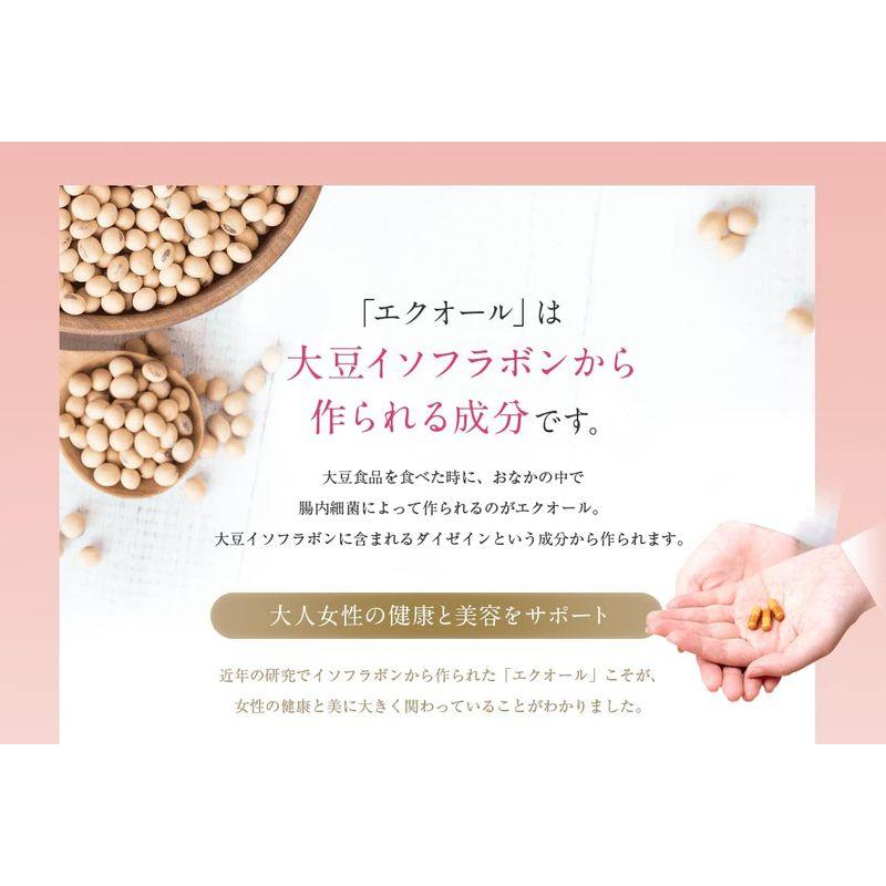 日本メーカー新品日本メーカー新品エクオールN＋ラクトビオン酸 (90粒×2（約2ヶ月分）) サプリ大人女性のお悩みに 女性らしさを保つ 大豆イソフラボン  ラクトビオン酸 配 大豆イソフラボン