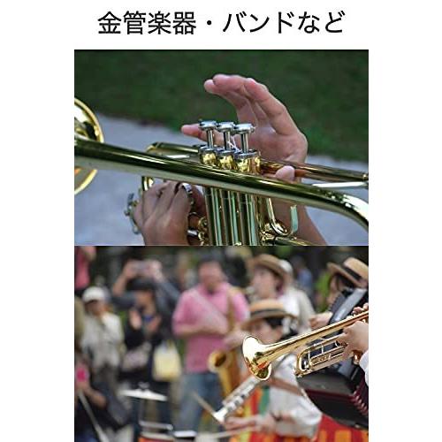 Wumio トランペット マウスピース 練習用 マットゴールド 吹奏楽 自宅 練習 初心者 ビギナー 学校 バンド 金管 楽器 小学生 ラッパ S 2402 ショップ ドリームキッズ 21 通販 Yahoo ショッピング