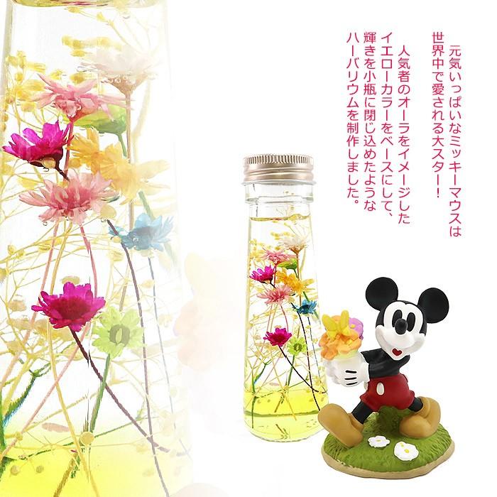 母の日 ギフト 22 花 プレゼント 結婚祝い 人気商品 誕生日 ディズニーハーバリウムギフトセット フラワーギフト 退職祝い お祝い 記念日 発表会