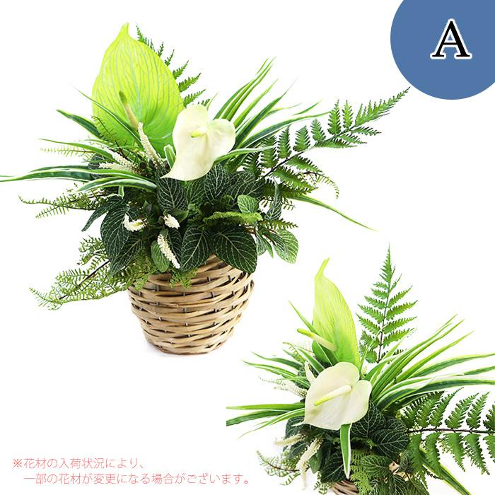 光触媒加工 アーティフィシャルフラワー 寄せ植えバスケット 観葉植物 父の日 誕生日 新築祝い ギフト プレゼント 手入れ不要 空気をきれいに｜dreamkoubou｜03