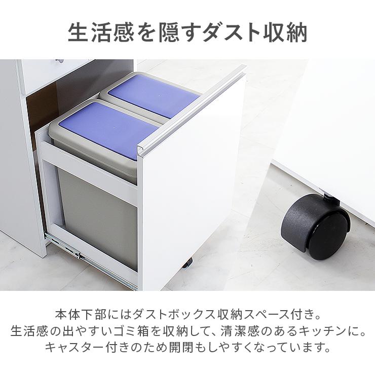 ダストボックス キッチンカウンター 完成品 幅55cm 2分別 収納 スリム