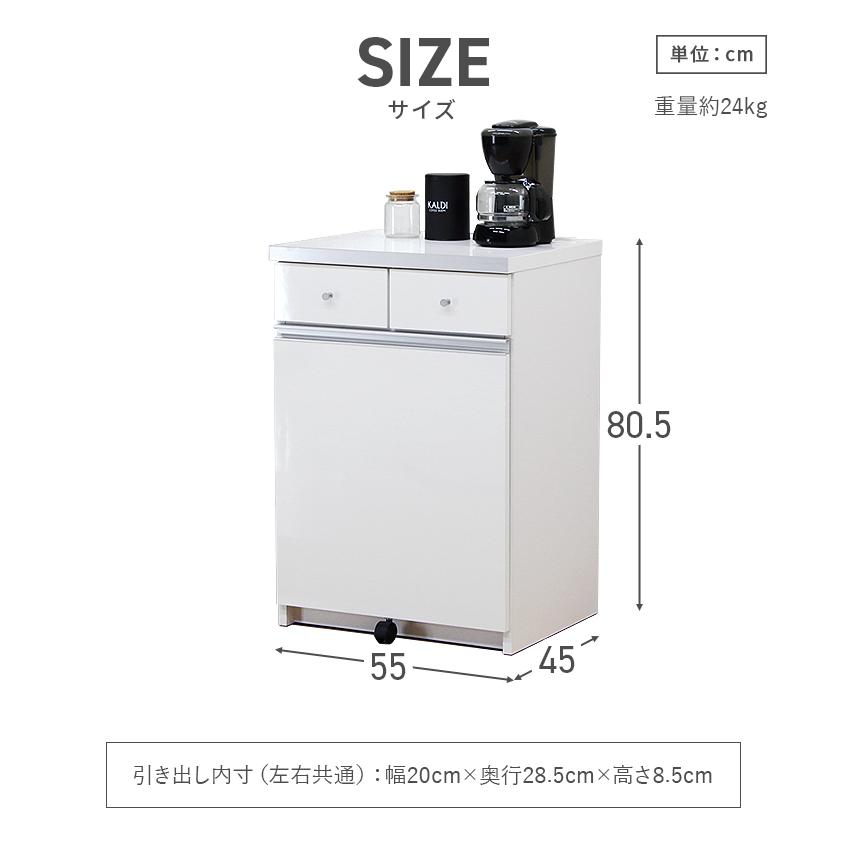 ダストボックス キッチンカウンター 完成品 幅55cm 2分別 収納 スリム