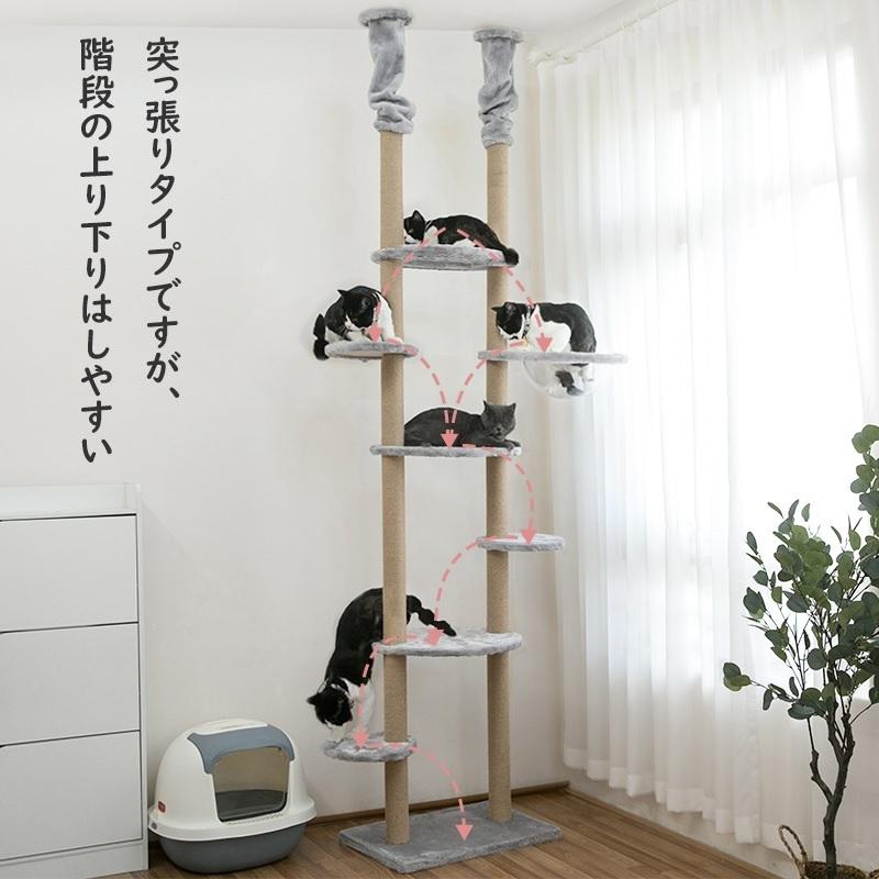 キャットタワー 突っ張り型 丸い透明宇宙船 ハンモック 高さ232-262cm TX00132 :35-003:Dreamrelife Store - 通販 - Yahoo!ショッピング キャットタワー 突っ張り型 丸い透明宇宙船 ハンモック 高さ232-262cm TX00132 :35-003:Dreamrelife Store - 通販 - Yahoo!ショッピング