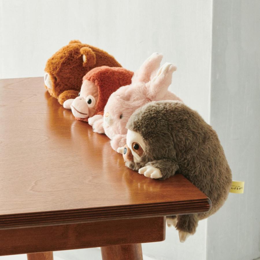 Dreams（ドリームズ） -ドリームズ公式- ふんばるず (Regular