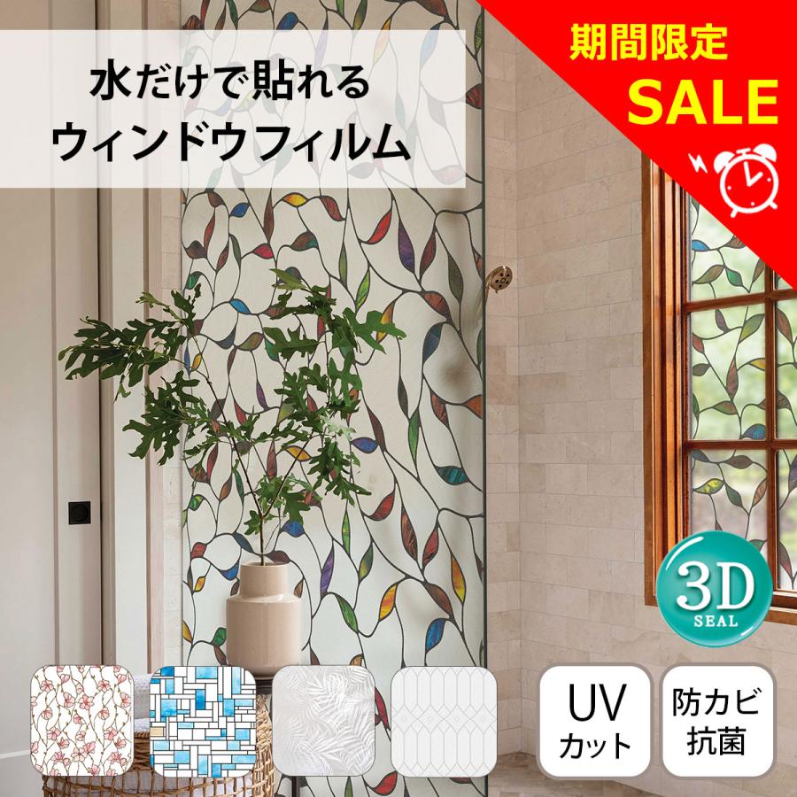 Sinar 5×7スクリーンバック ピントグラス枠 Cタイプ 広角蛇腹つき Dream Sticker（ドリームステッカー） ガラスフィルム 窓 ウィンドウ