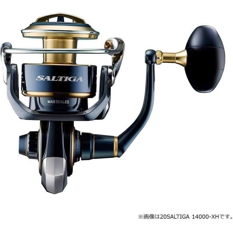 新作マット・カーペット ダイワ(DAIWA) スピニングリール 20 ソルティガ 10000-H (2020モデル) 【LWH1830375634】(64277円)