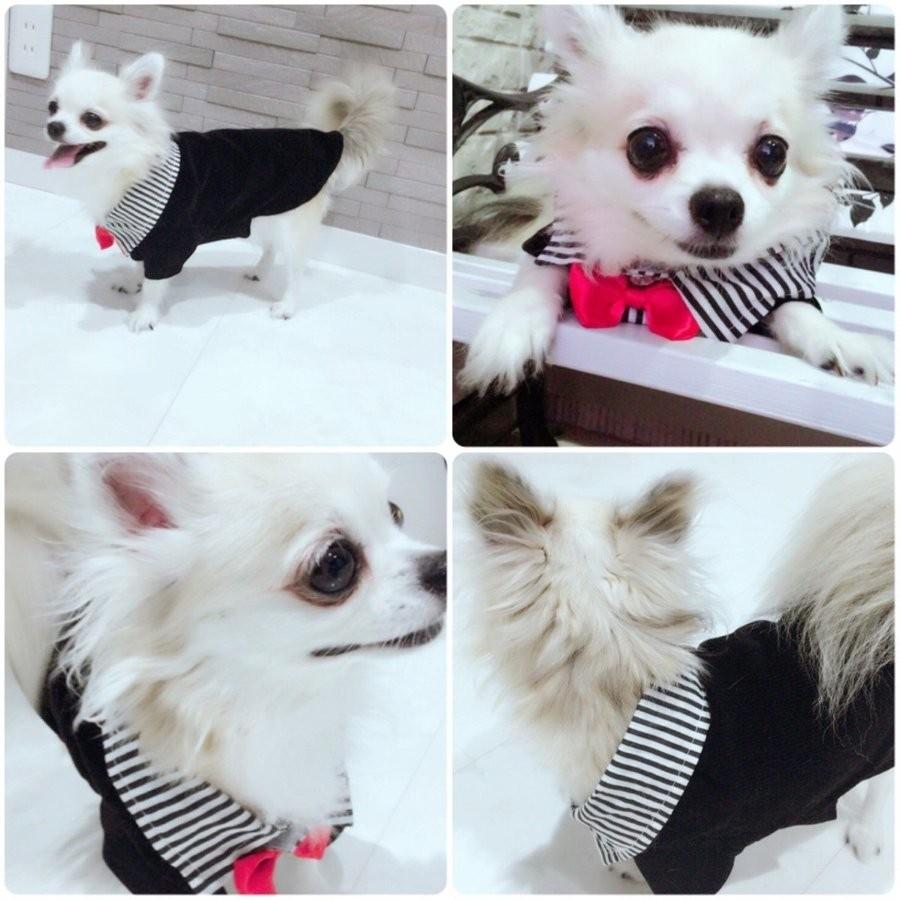 犬用 猫用 タキシード 燕尾服 蝶ネクタイ 犬服 フォーマル 結婚式 参列 A 18 Dream工房 Yahoo 店 通販 Yahoo ショッピング