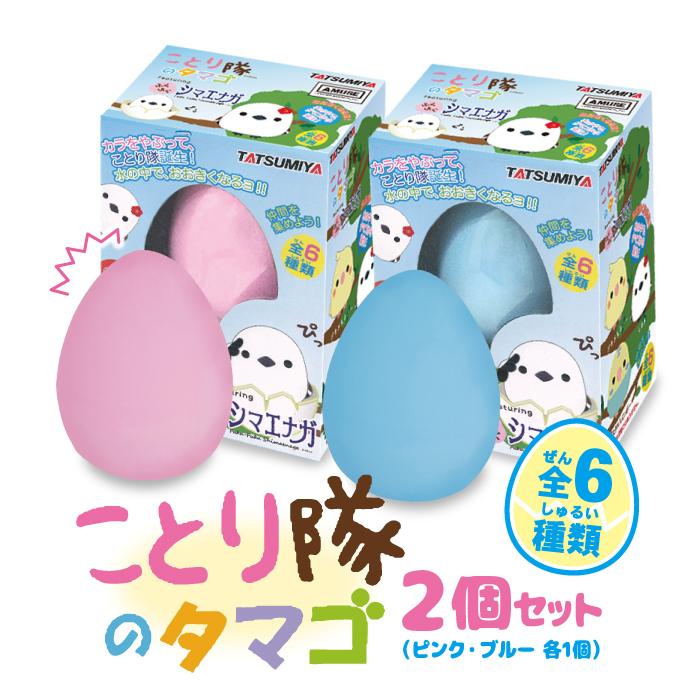 ことり隊のたまご シマエナガ BOX (12個入) 水のなかで大きくなる