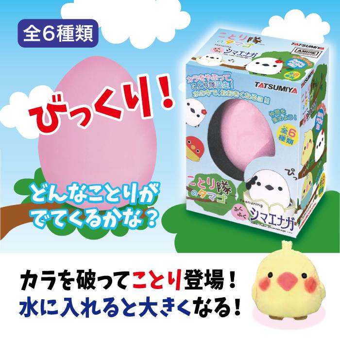 ことり隊のたまご シマエナガ BOX (12個入) 水のなかで大きくなる