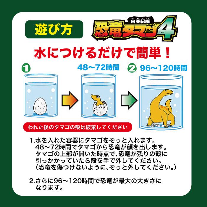 白亜紀編 恐竜のタマゴ4 1個 水のなかで大きくなるタマゴシリーズ