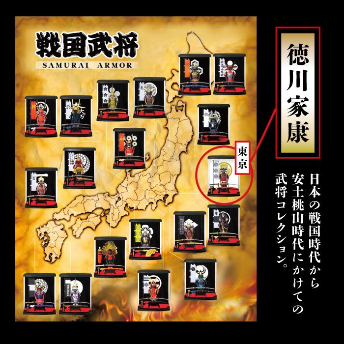 戦国武将 フィギュア 徳川家康 Aタイプ ケース付き 家紋 兜