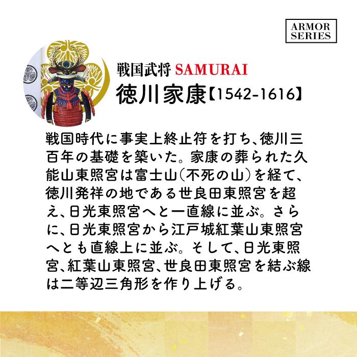 戦国武将 フィギュア 徳川家康 Aタイプ ケース付き 家紋 兜