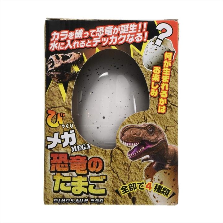 恐竜の卵？ mqdefault.jpg