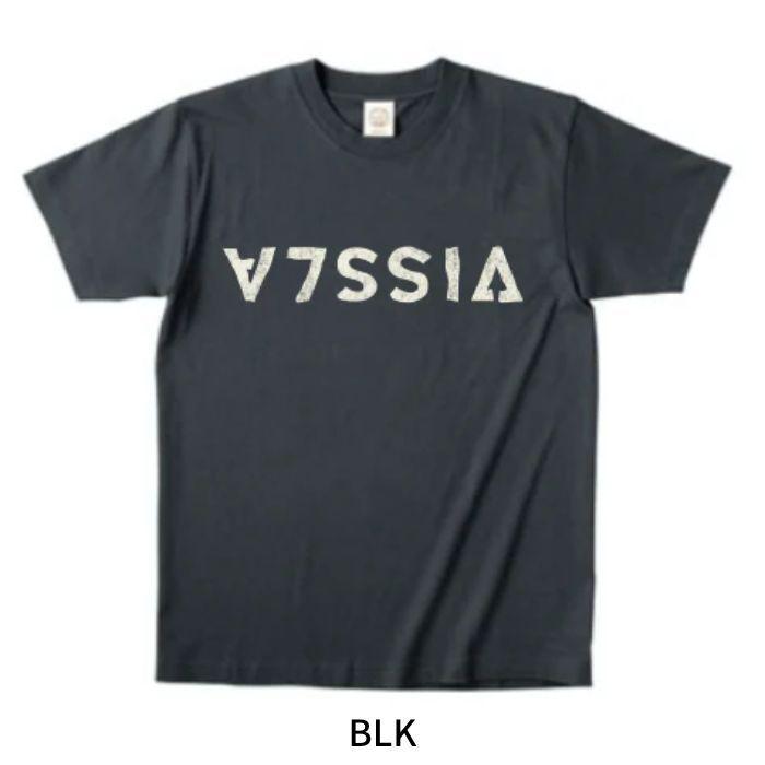 VISSLA ビスラ VISSLA ORGANIC TEE 05 m421005j Tシャツ オーガニックコットン 半袖 ロゴ 正規品｜dreamy1117｜02