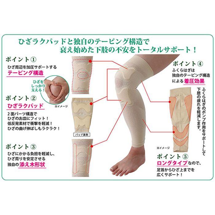 ひざラクパッド付どんどん歩けるサポーター Lサイズ 富士