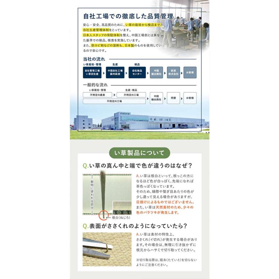 北海道・沖縄・離島配送不可 代引不可 い草ラグ 裏貼り 晴市松 はれいちまつ 約240×240cm ブルー_7