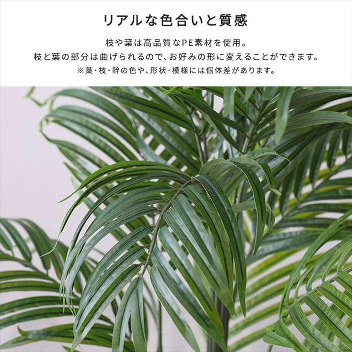 北海道・沖縄・離島配送不可 代引不可 お手入れ簡単フェイクグリーン アレカヤシ Lサイズ 180cmの画像