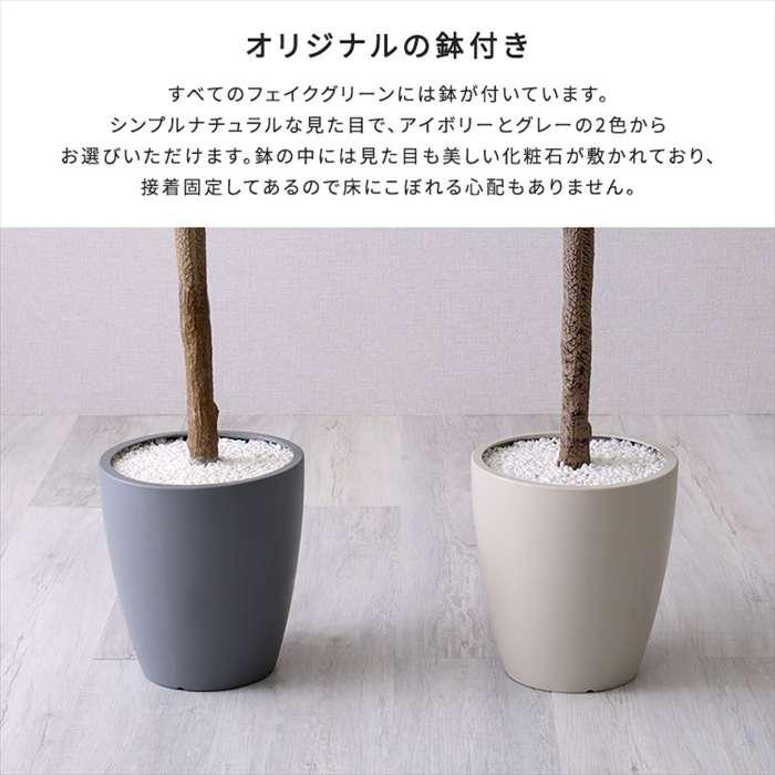 北海道・沖縄・離島配送不可 代引不可 お手入れ簡単フェイクグリーン アレカヤシ Lサイズ 180cmの画像