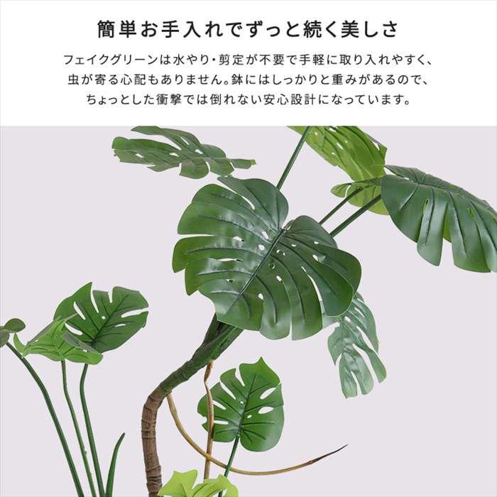 北海道・沖縄・離島配送不可 代引不可 お手入れ簡単フェイクグリーン モンステラ Lサイズ 180cmの画像