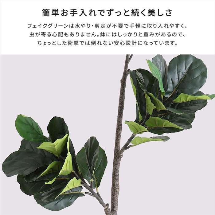 北海道・沖縄・離島配送不可 代引不可 お手入れ簡単フェイクグリーン フィカス・リラータ Sサイズ 120cm_3