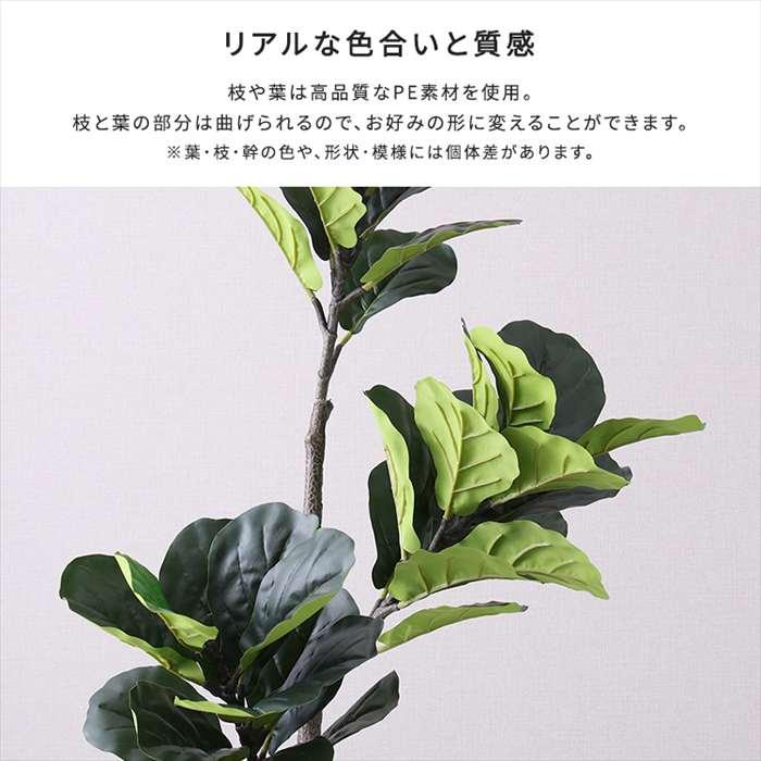 北海道・沖縄・離島配送不可 代引不可 お手入れ簡単フェイクグリーン フィカス・リラータ Sサイズ 120cm_4