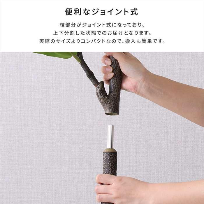 北海道・沖縄・離島配送不可 代引不可 お手入れ簡単フェイクグリーン フィカス・リラータ Sサイズ 120cm_6