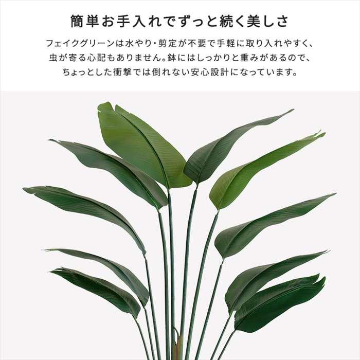 北海道・沖縄・離島配送不可 代引不可 お手入れ簡単フェイクグリーン ストレリチア Lサイズ 180cmの画像
